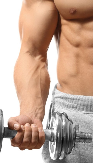 com guanyar massa muscular