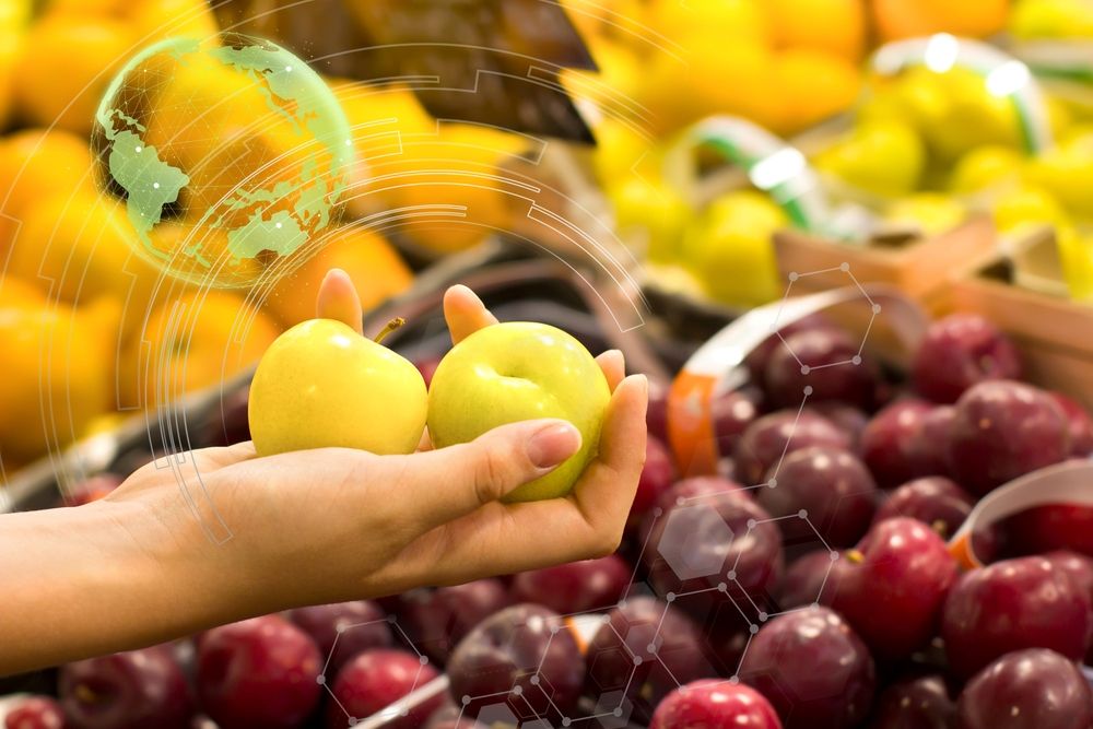 Dia Mundial de l'Alimentació